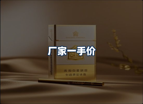 专业团队办公环境